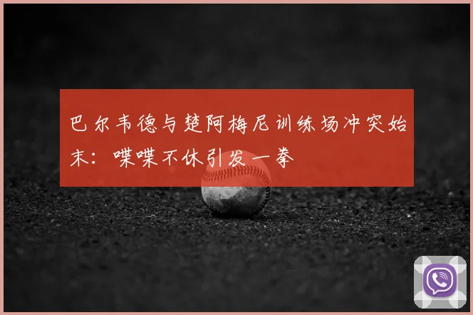 巴尔韦德与楚阿梅尼训练场冲突始末：喋喋不休引发一拳