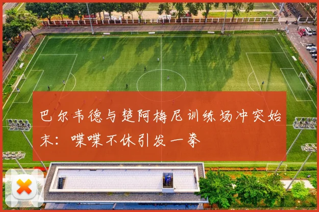 巴尔韦德与楚阿梅尼训练场冲突始末：喋喋不休引发一拳
